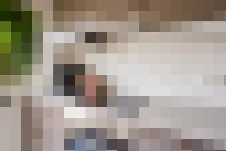Zeemanlaan 19 Utrecht thumbnail 17