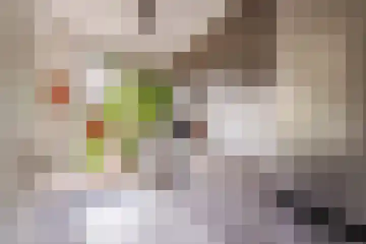 Zeemanlaan 19 Utrecht thumbnail 18