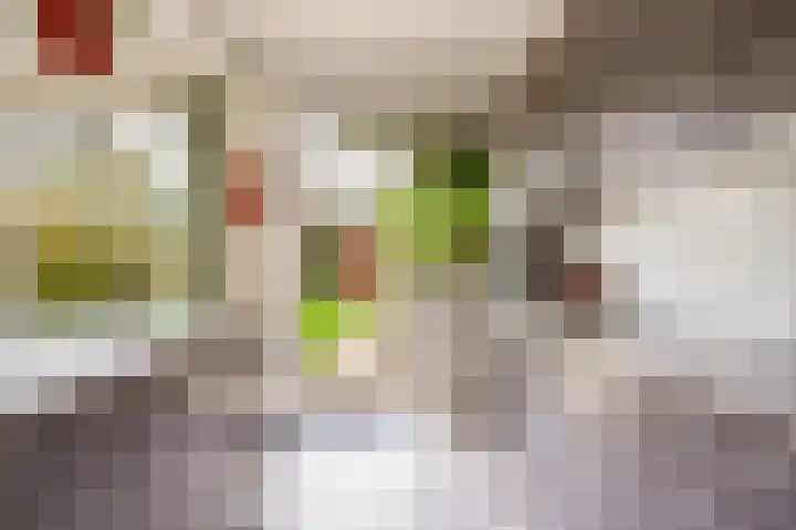 Zeemanlaan 19 Utrecht thumbnail 20