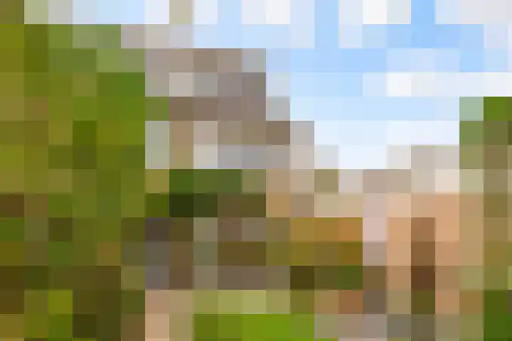 Zeemanlaan 19 Utrecht thumbnail 22