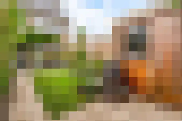 Zeemanlaan 19 Utrecht thumbnail 24
