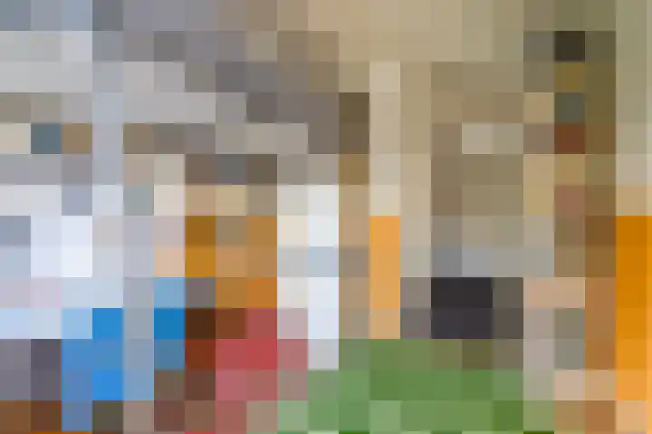 Zeemanlaan 19 Utrecht thumbnail 30