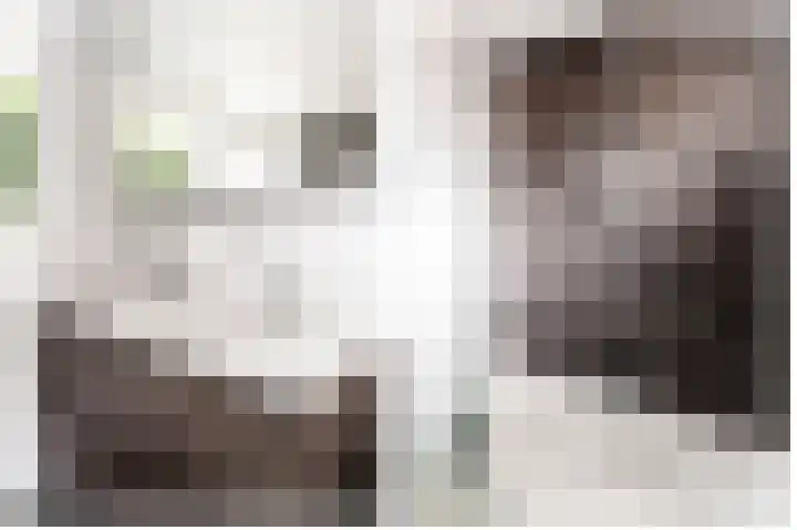 Zeemanlaan 19 Utrecht thumbnail 36
