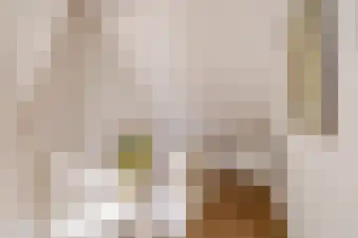 Zeemanlaan 19 Utrecht thumbnail 37
