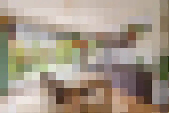 Zeemanlaan 19 Utrecht thumbnail 4