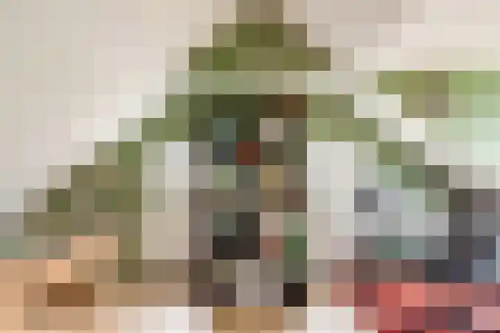 Zeemanlaan 19 Utrecht thumbnail 41