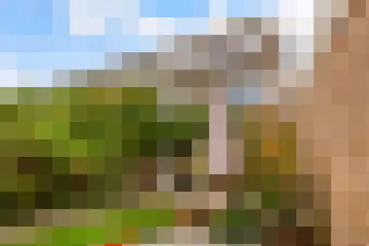 Zeemanlaan 19 Utrecht thumbnail 46