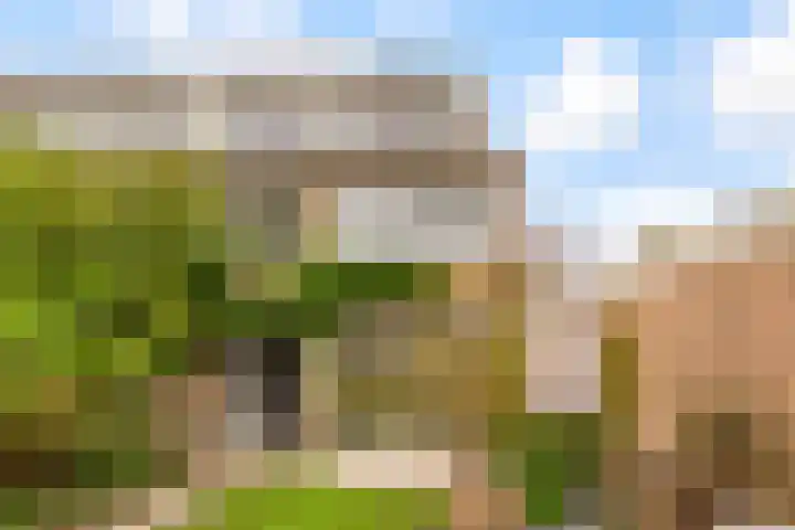 Zeemanlaan 19 Utrecht thumbnail 47