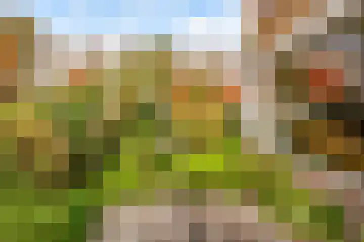 Zeemanlaan 19 Utrecht thumbnail 48