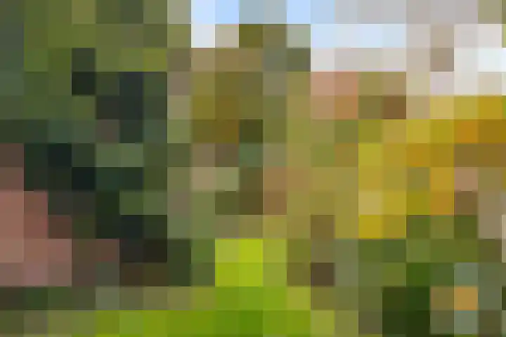 Zeemanlaan 19 Utrecht thumbnail 49