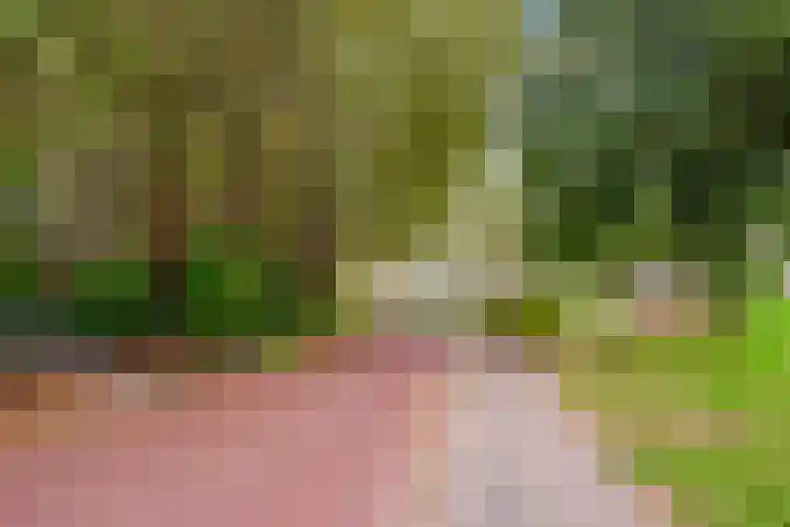 Zeemanlaan 19 Utrecht thumbnail 58