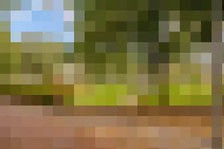 Zeemanlaan 19 Utrecht thumbnail 59