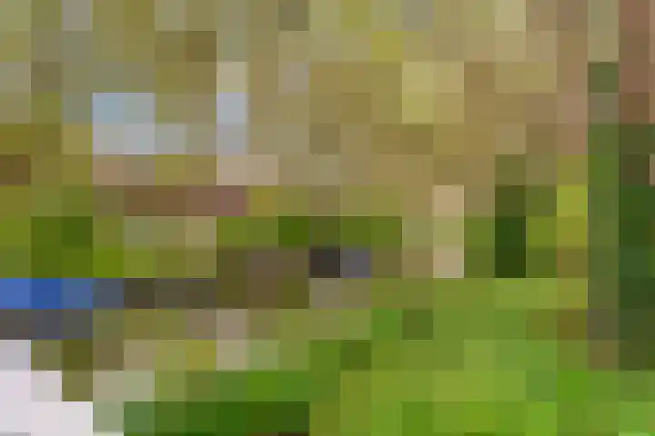 Zeemanlaan 19 Utrecht thumbnail 60