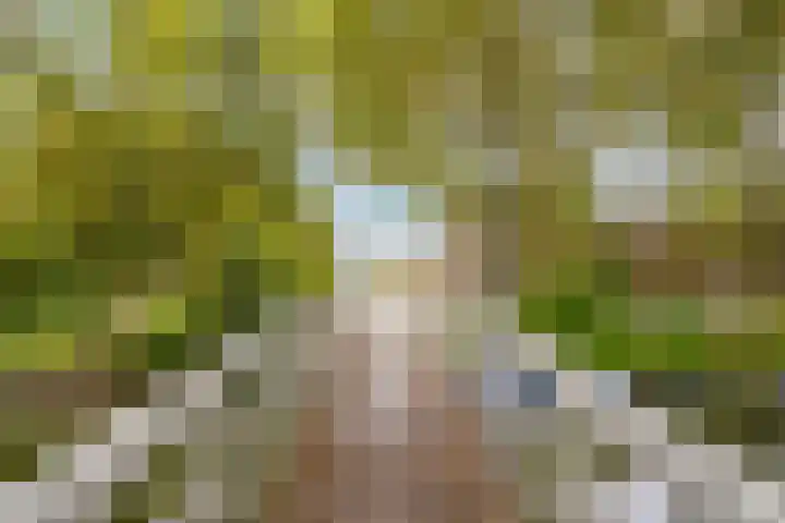 Zeemanlaan 19 Utrecht thumbnail 61