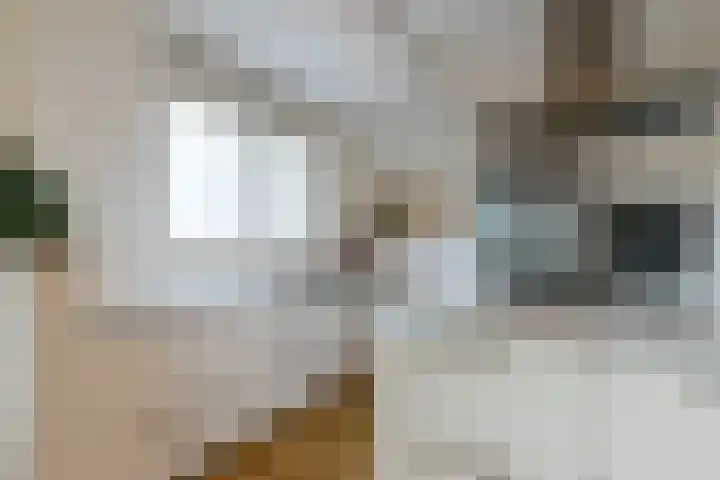 Zeemanlaan 190 Utrecht thumbnail 12
