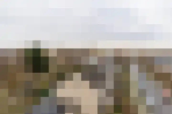 Zeemanlaan 190 Utrecht thumbnail 25