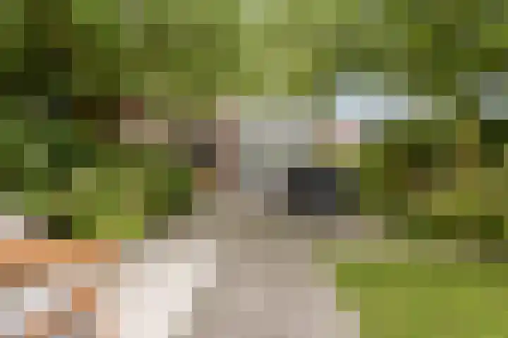 Zeemanlaan 41 Badhoevedorp thumbnail 29