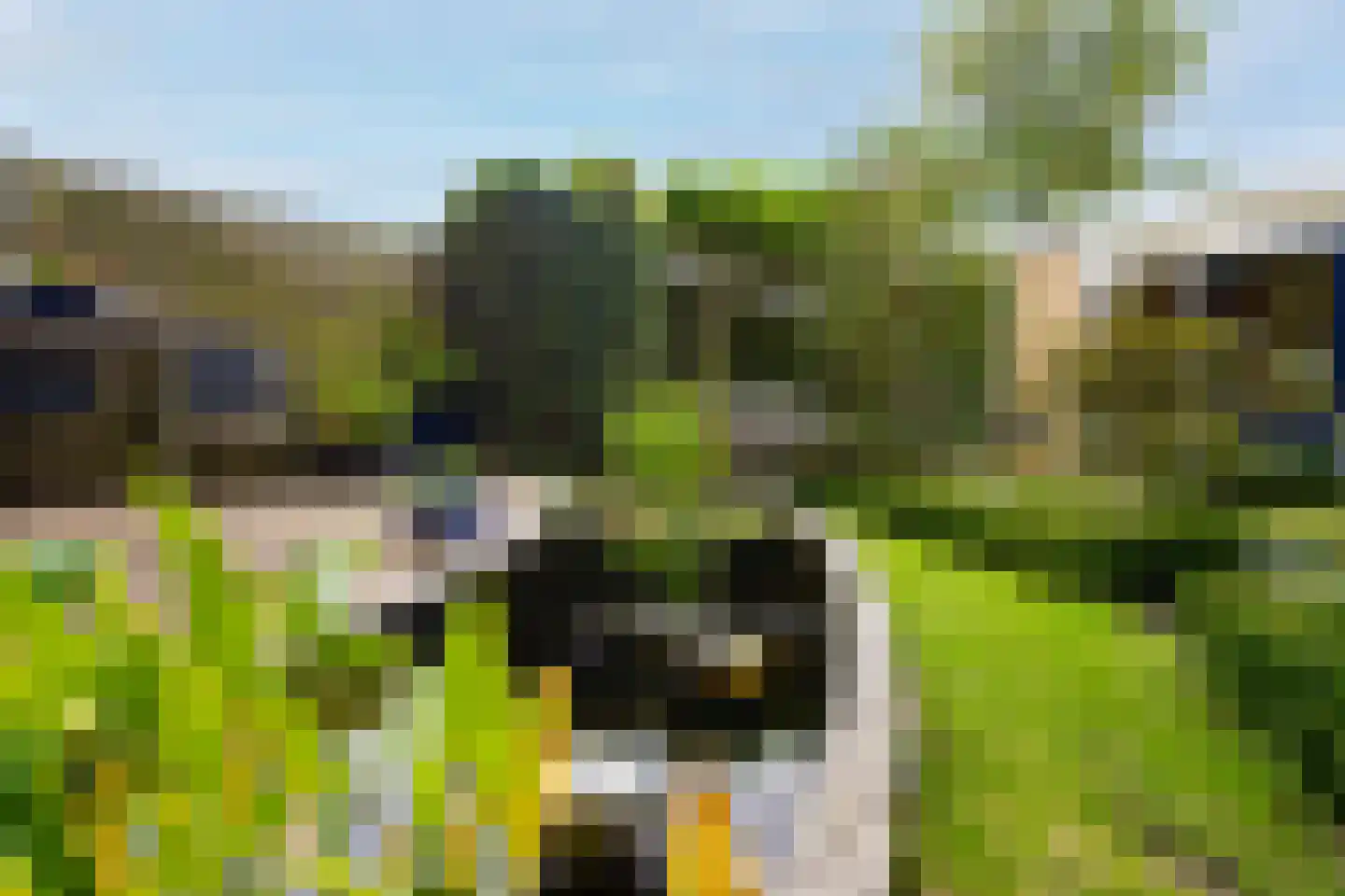 Zeemansrond 12 Abbekerk thumbnail 48