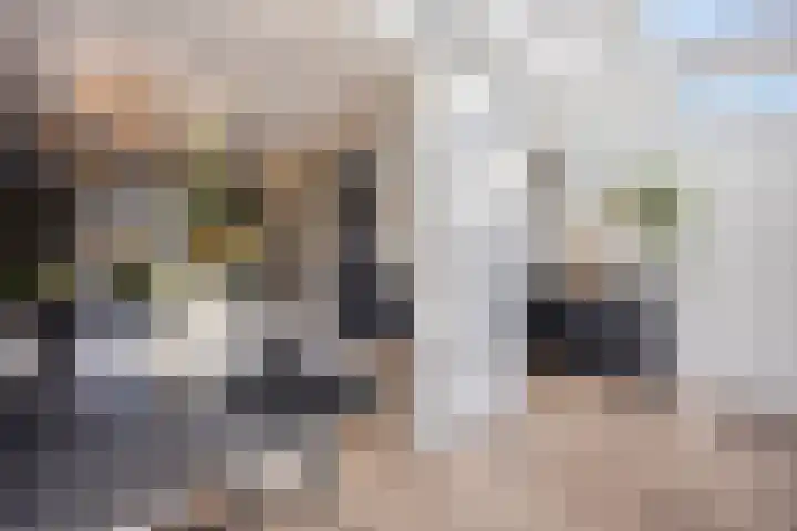 Zeemansrond 22 Abbekerk thumbnail 12