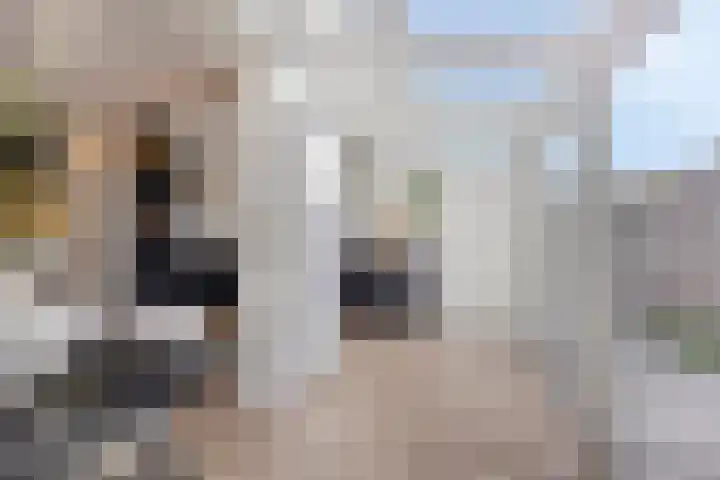 Zeemansrond 22 Abbekerk thumbnail 13