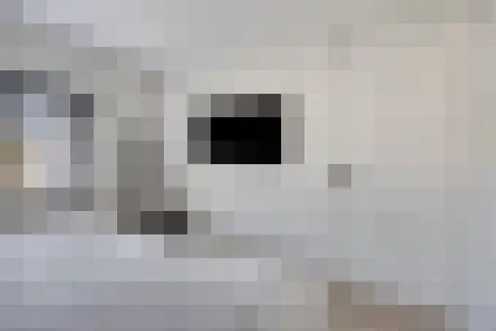 Zeemansrond 22 Abbekerk thumbnail 23