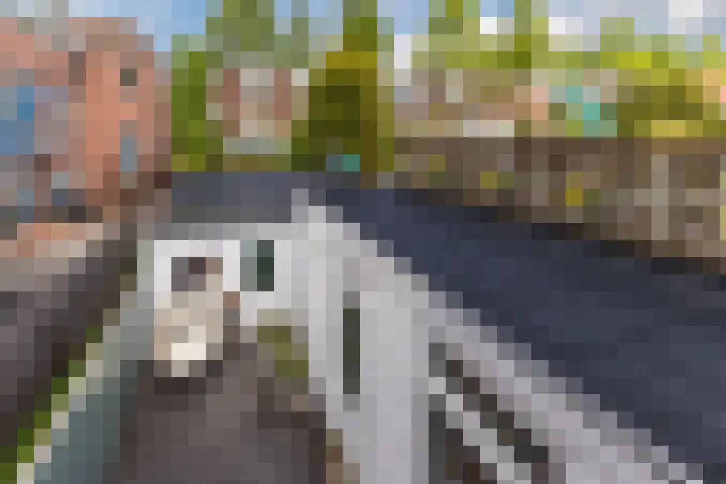 Zeemansstraat 114 Zaandam thumbnail 26