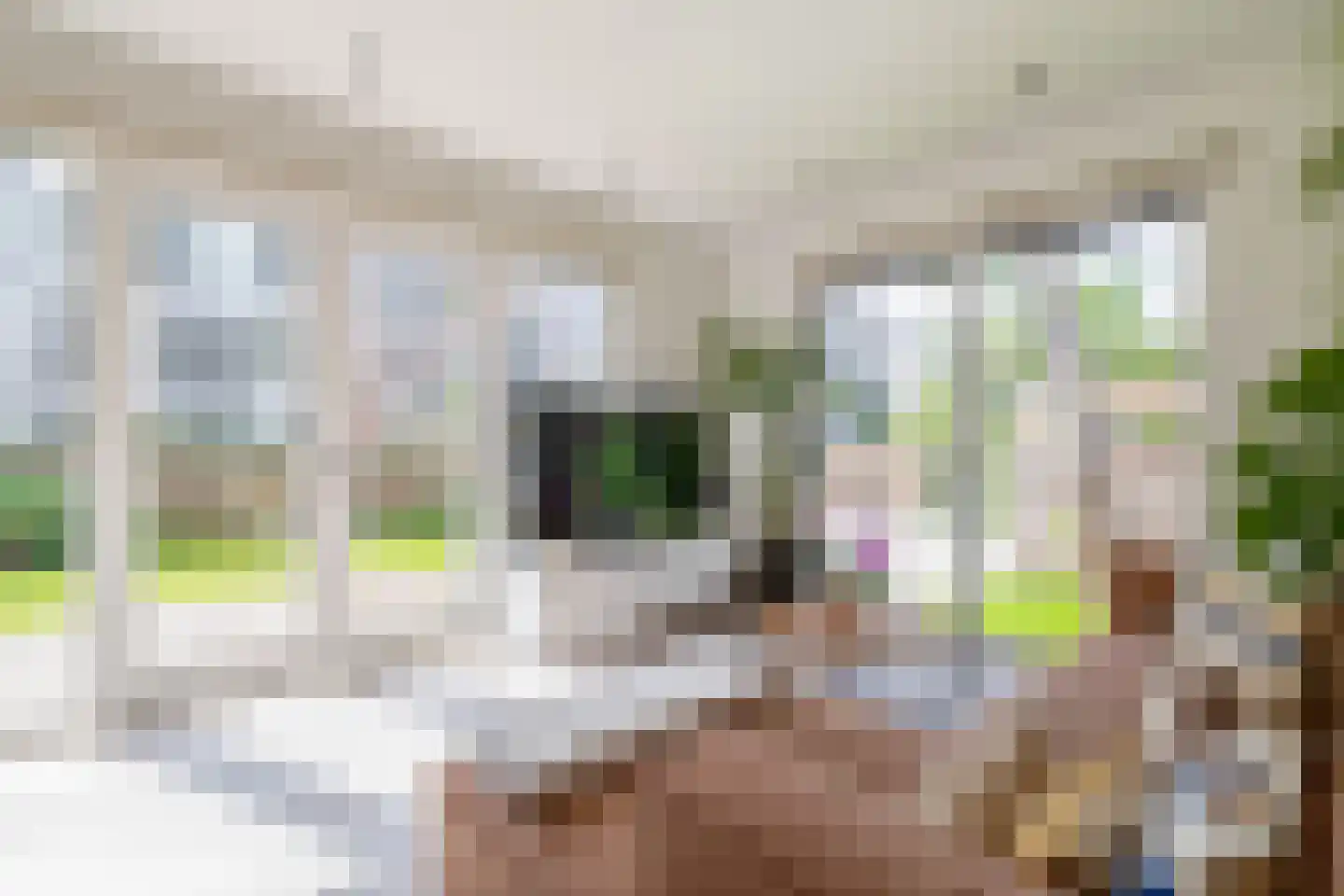 Zeemansstraat 21 A Zaandam thumbnail 10