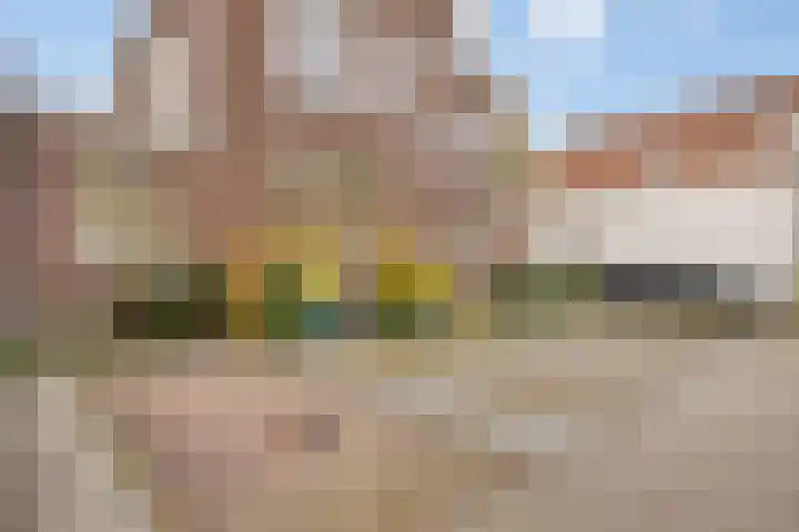 Zeemansstraat 21 D Zaandam thumbnail 23