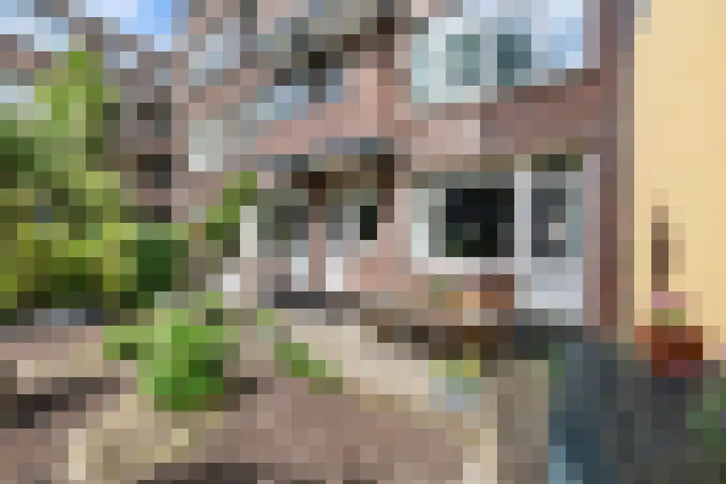 Zeemansstraat 5 A Rotterdam thumbnail 13