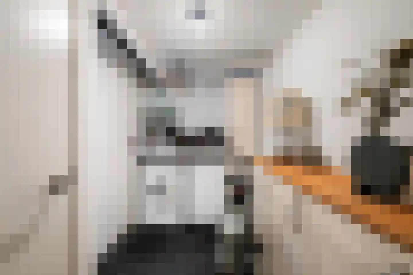 Zeemansstraat 5 A Rotterdam thumbnail 25