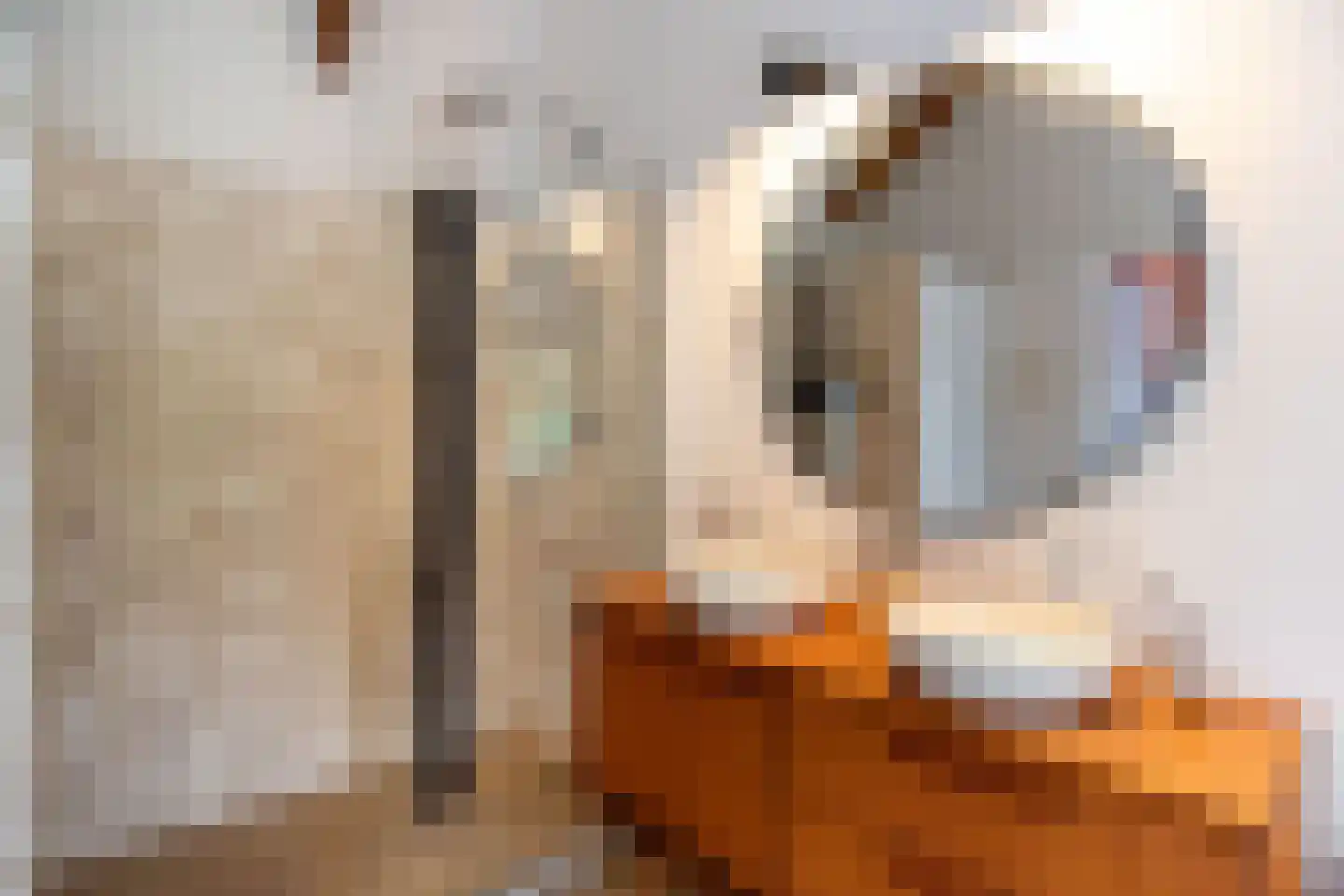 Zeemansstraat 7 Zaandam thumbnail 24