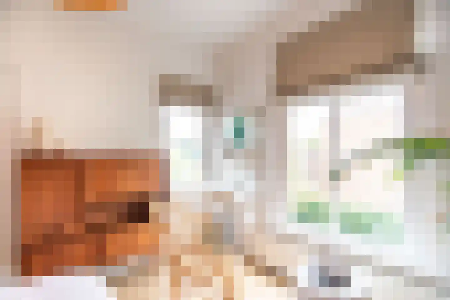 Zeemansstraat 7 Zaandam thumbnail 34