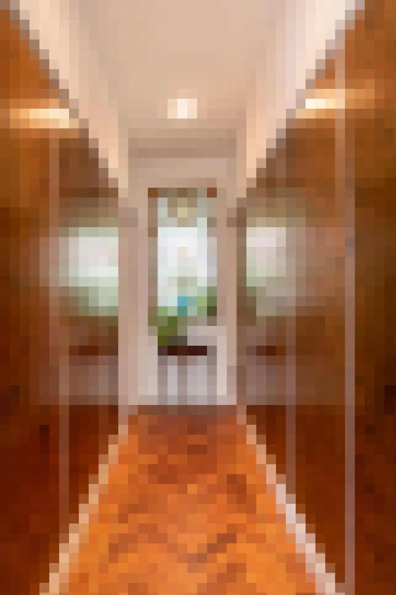 Zeemansstraat 7 Zaandam thumbnail 6