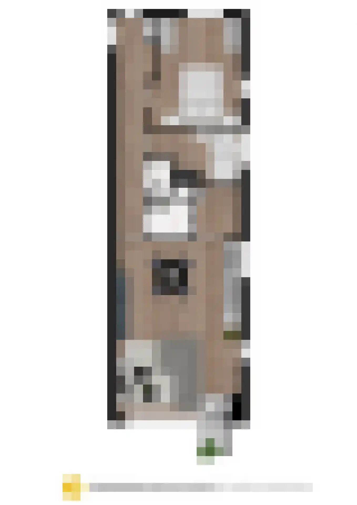 Zeemansstraat 79 V Zaandam thumbnail 6