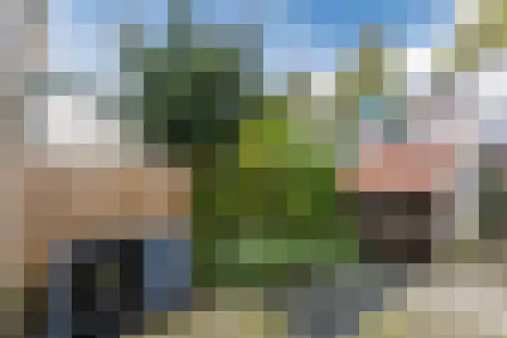 Zeemansstraat 98 Zaandam thumbnail 38