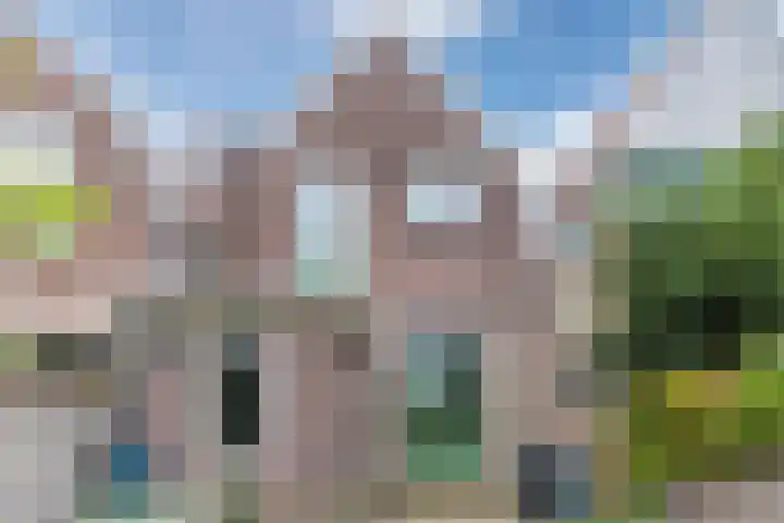 Zeemansstraat 98 Zaandam thumbnail 41