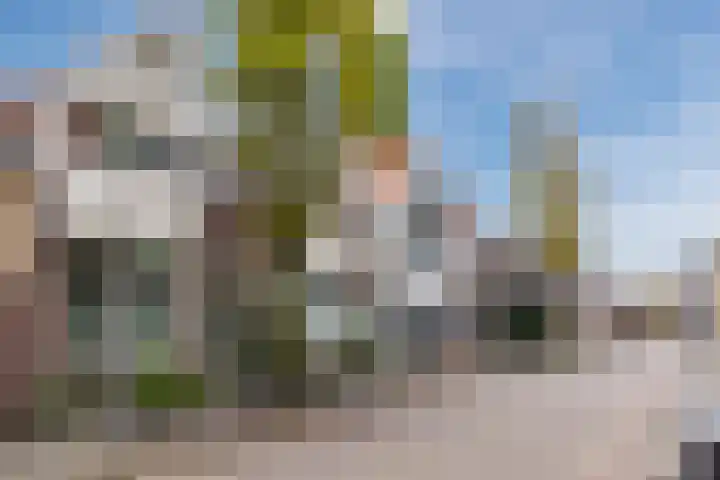 Zeemansstraat 98 Zaandam thumbnail 6