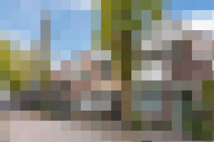 Zeemansstraat 98 Zaandam thumbnail 7