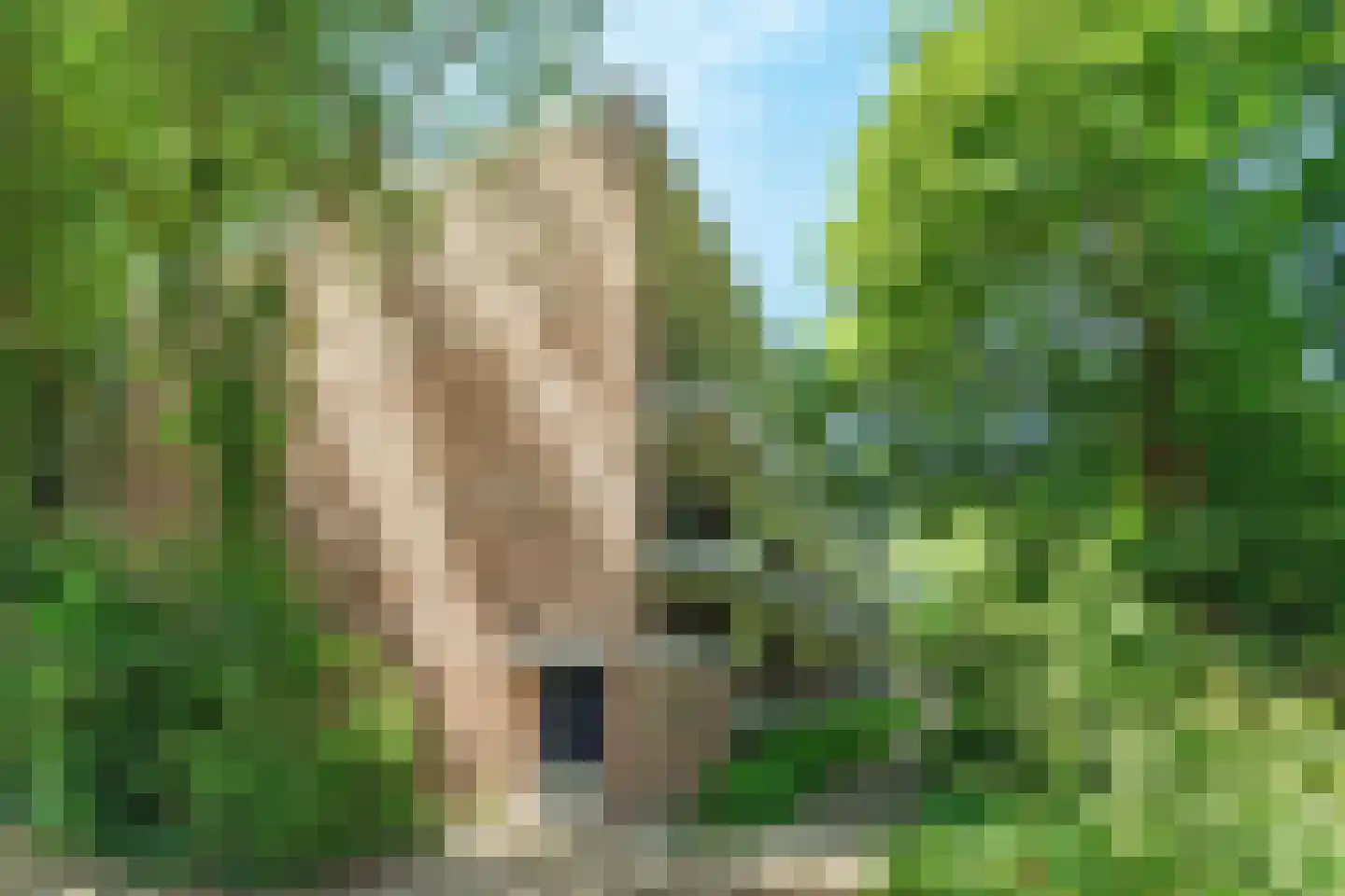 Zeemanstraat 10 II Wageningen thumbnail 19