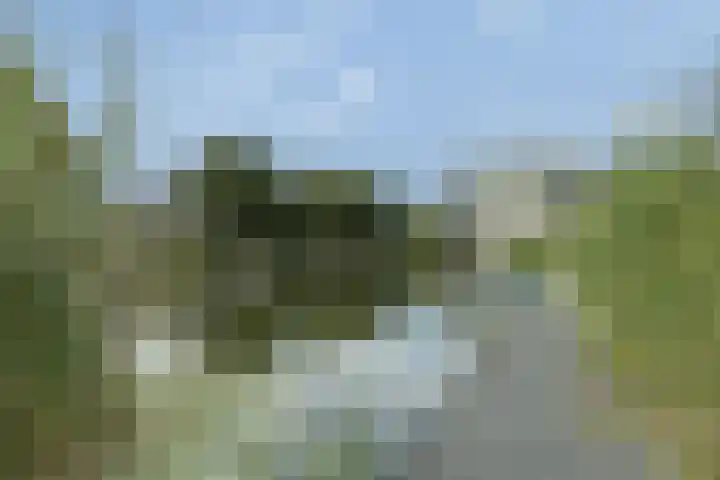 Zeemanstraat 100 Ridderkerk thumbnail 31