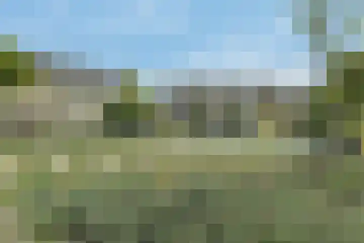 Zeemanstraat 100 Ridderkerk thumbnail 32