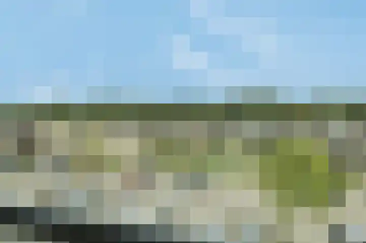 Zeemanstraat 100 Ridderkerk thumbnail 8