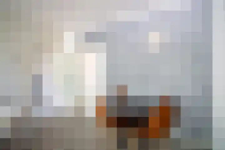 Zeemanstraat 100 Vlaardingen thumbnail 6