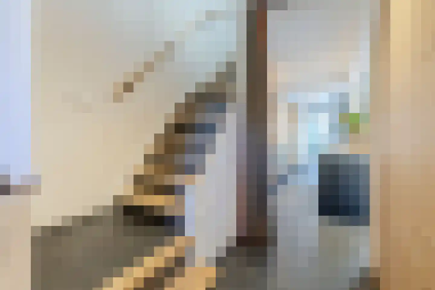Zeemanstraat 13 Wageningen thumbnail 21