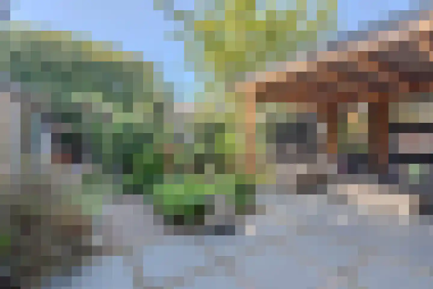 Zeemanstraat 13 Wageningen thumbnail 4