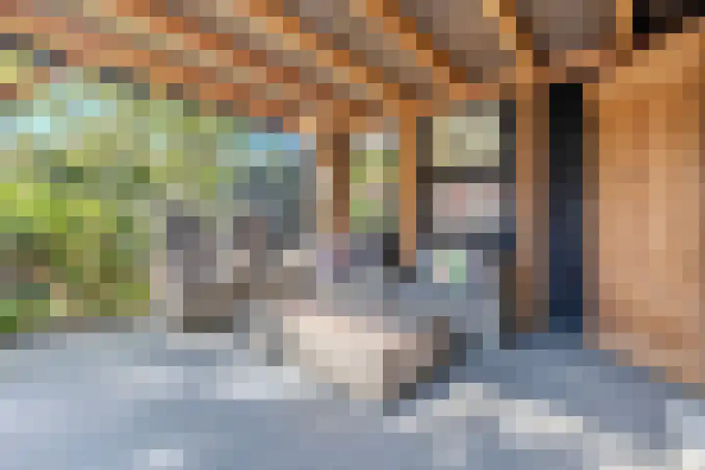 Zeemanstraat 13 Wageningen thumbnail 44