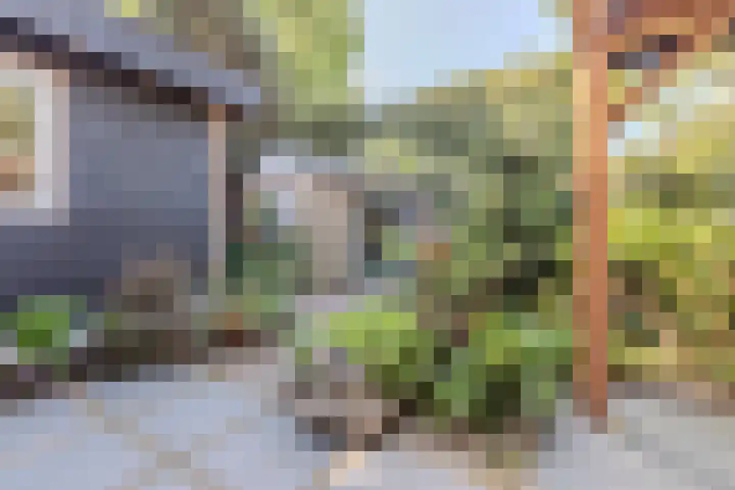 Zeemanstraat 13 Wageningen thumbnail 46