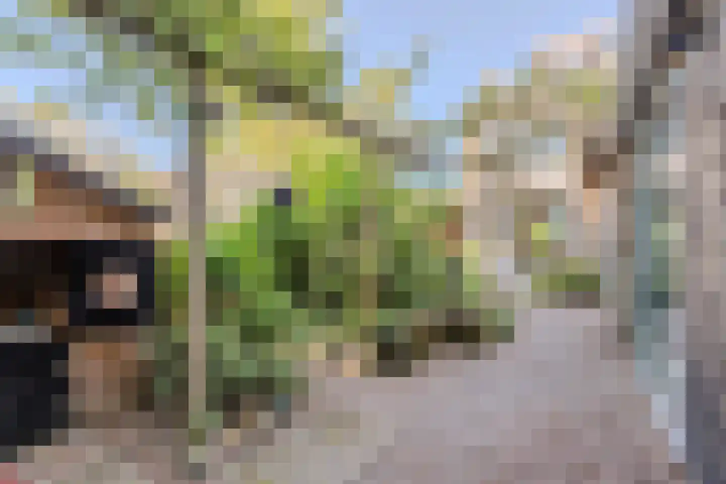 Zeemanstraat 13 Wageningen thumbnail 57
