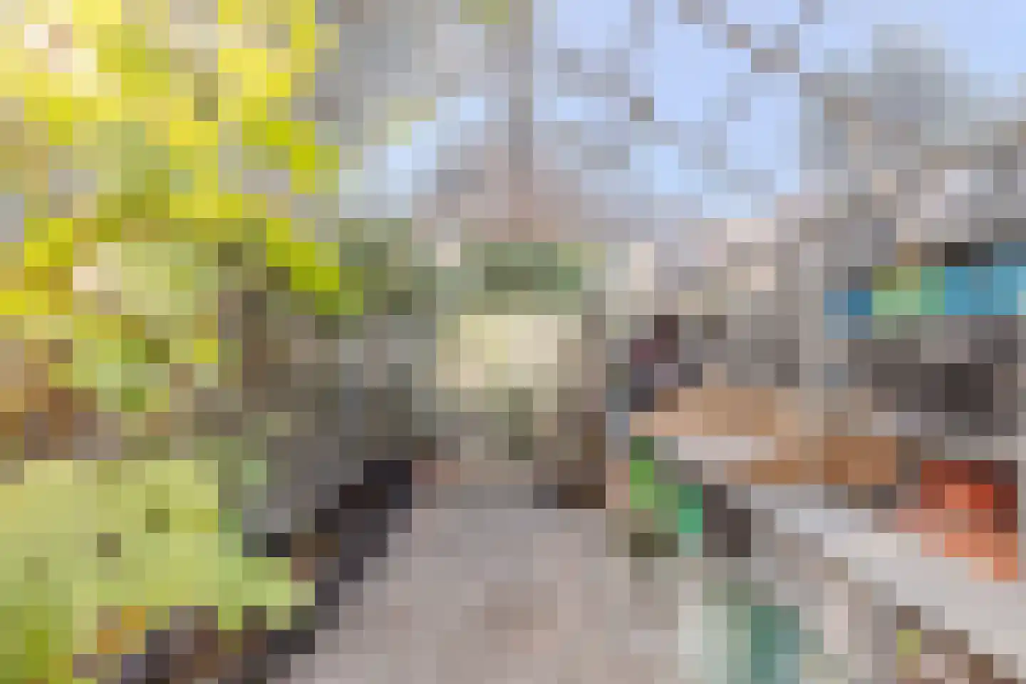 Zeemanstraat 13 Wageningen thumbnail 59