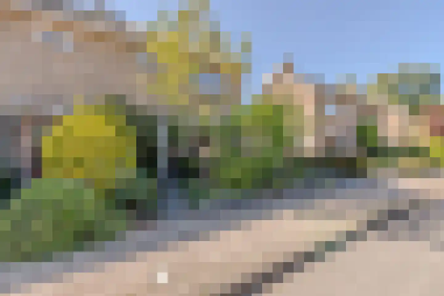 Zeemanstraat 13 Wageningen thumbnail 64
